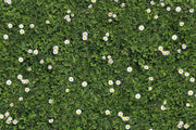 Flex Gemustert | Blumenwiese | Rote Teppiche