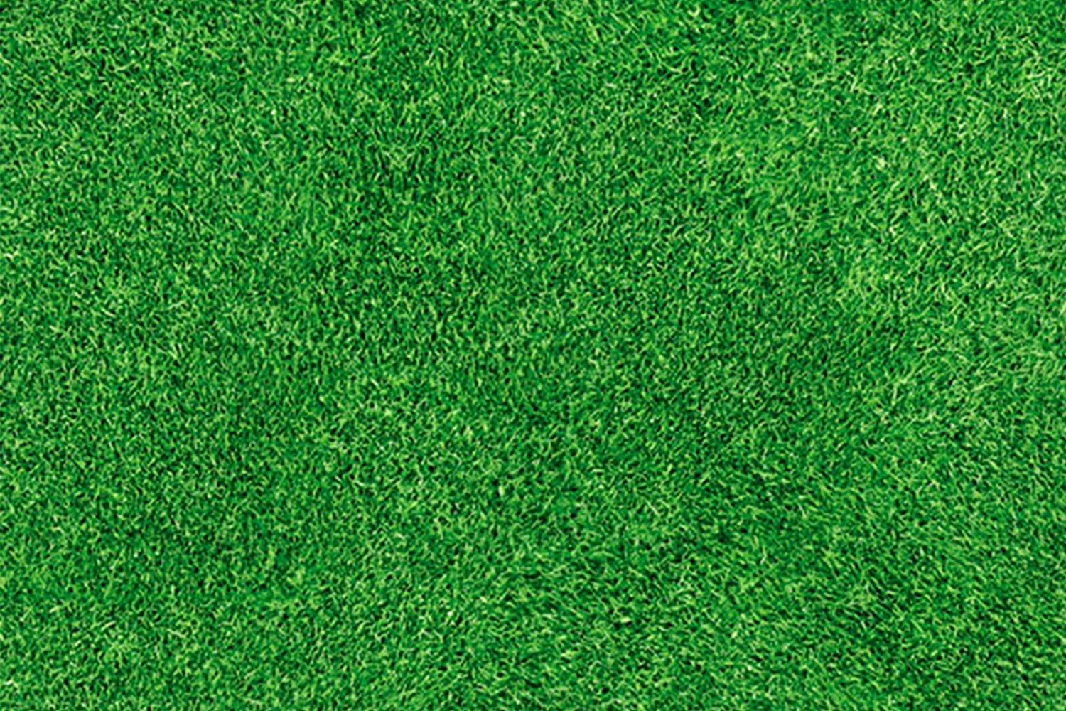 Flex Gemustert | Gras | Rote Teppiche