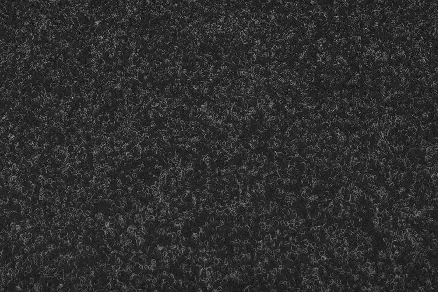 Focus 50 Gelrücken | Antrazit