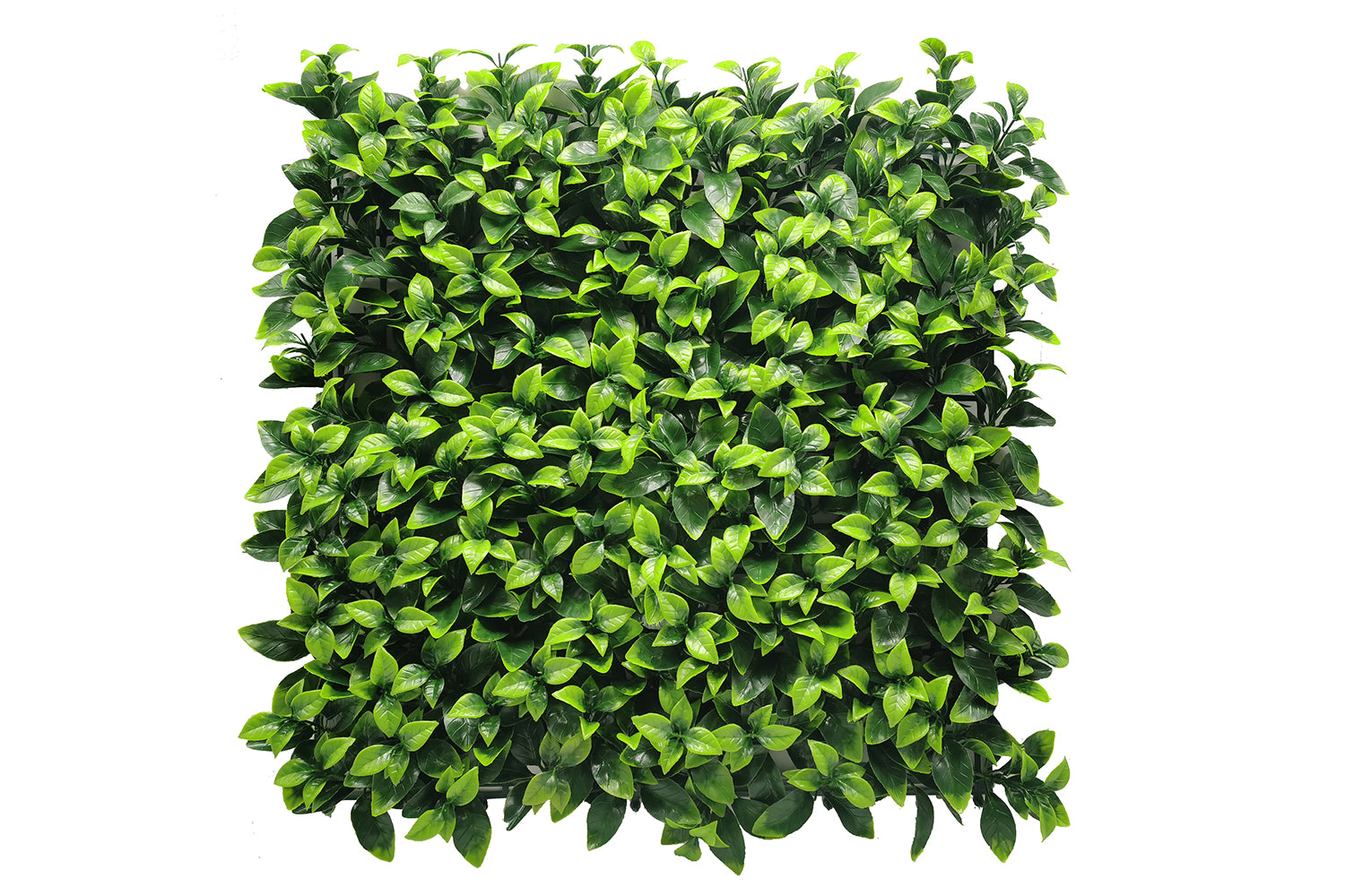 Modulare Kunstpflanzen-Hecke | Fresh Light | Rote Teppiche