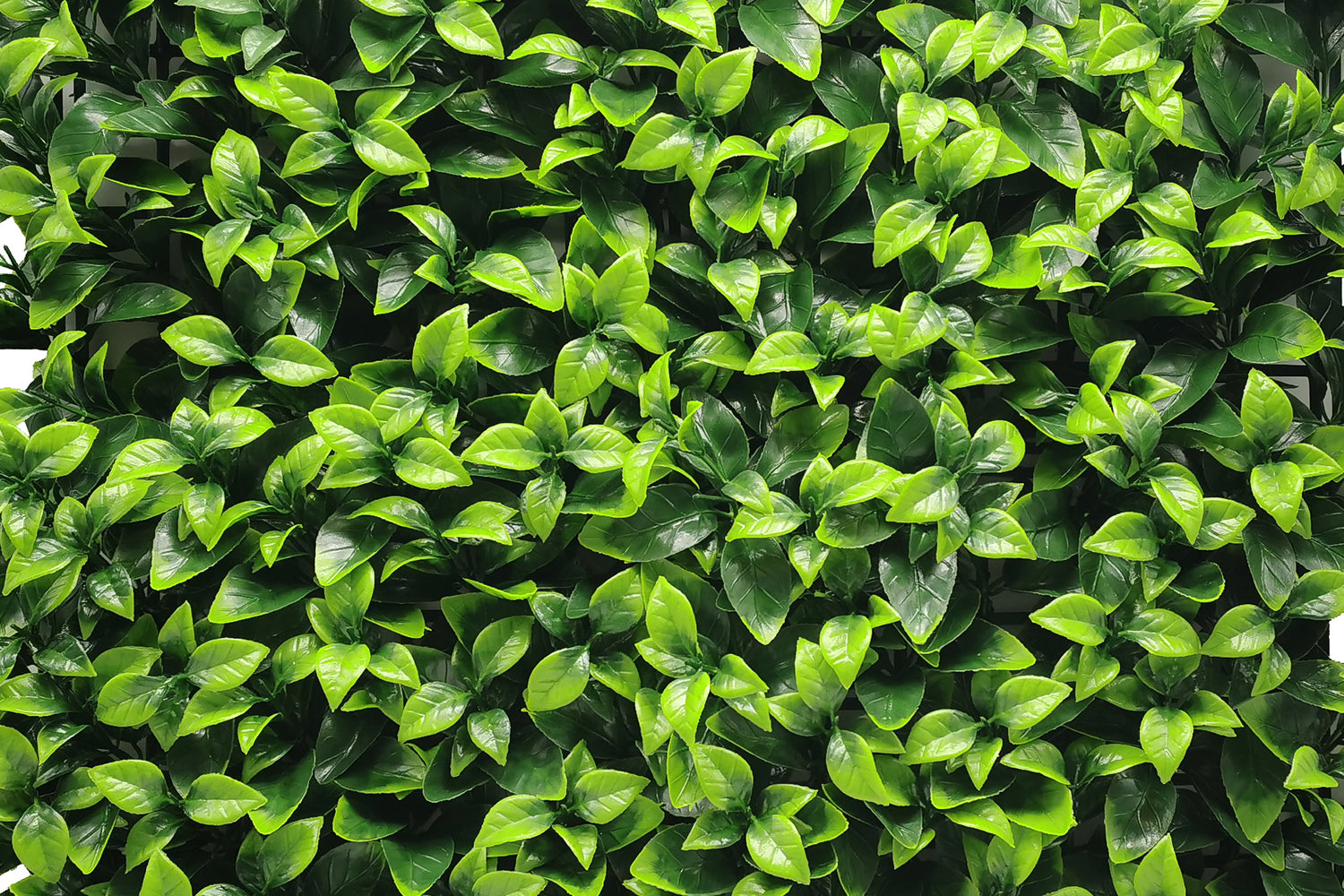 Modulare Kunstpflanzen-Hecke | Fresh Light | Rote Teppiche