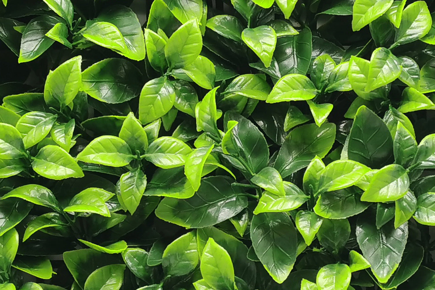 Modulare Kunstpflanzen-Hecke | Fresh Light | Rote Teppiche