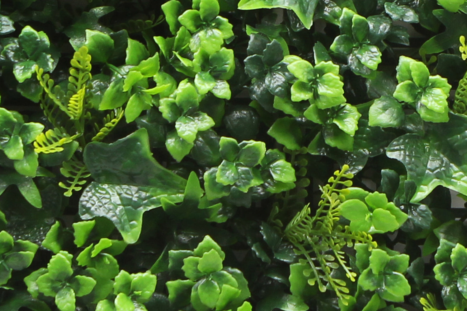 Modulare Kunstpflanzen-Hecke | Mix Vert | Rote Teppiche